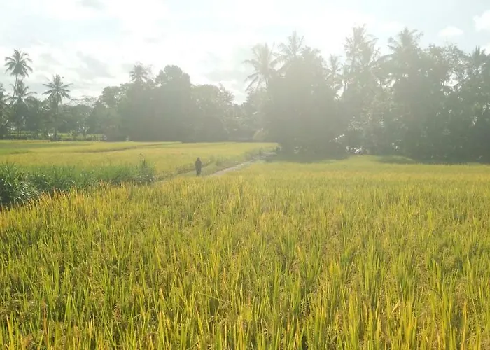 Villa Amara Giri I Ubud (Bali)